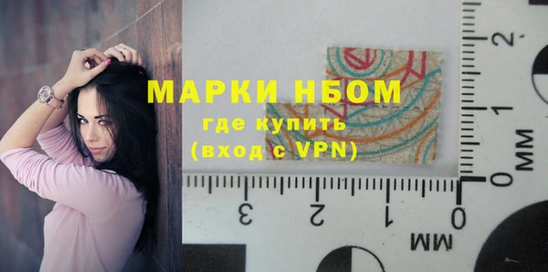 стафф Бородино