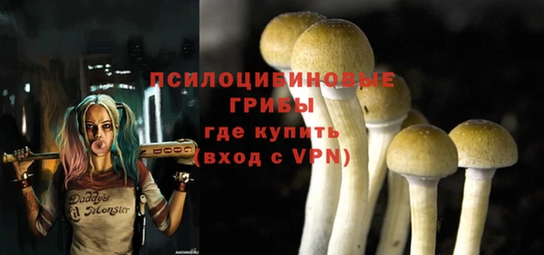 винт Бугульма