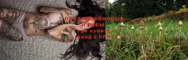 винт Бугульма