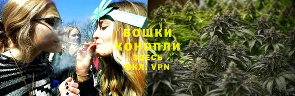 стафф Бородино