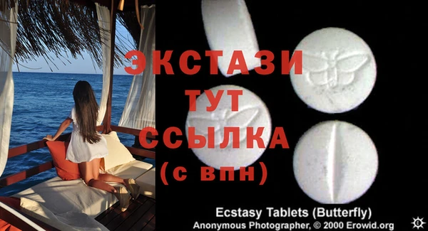 стафф Бородино
