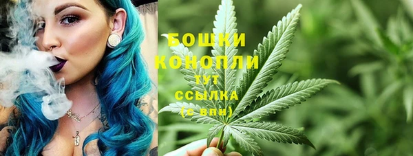 стафф Бородино