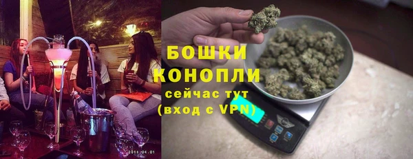стафф Бородино