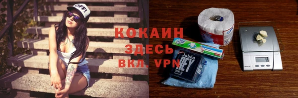 стафф Бородино