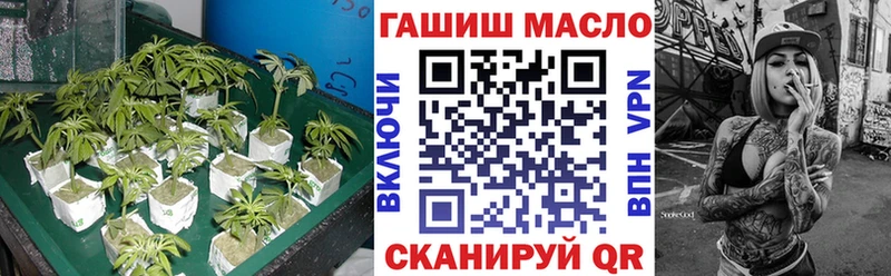 Дистиллят ТГК Wax  Купить закладки  Кировград 