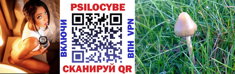 Галлюциногенные грибы ЛСД  Купить закладки  Кировград 